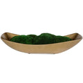 Venice Moss Centerpiece